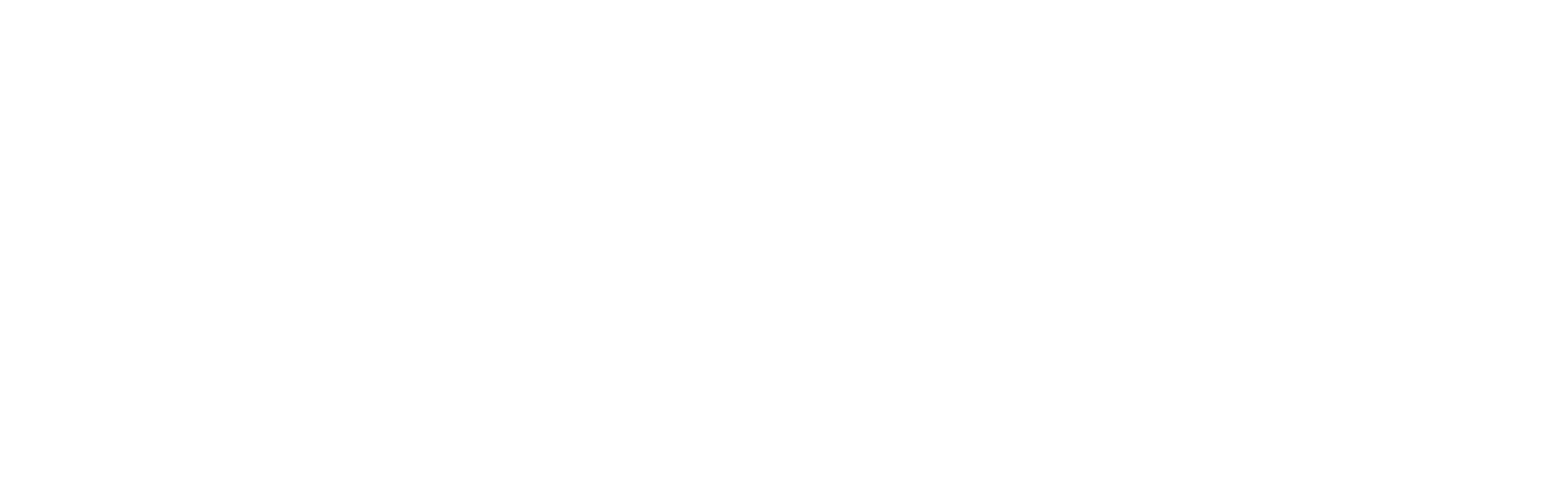 Snowball Partners